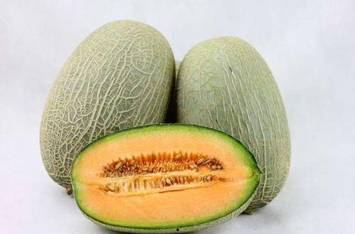 辅乳期可以吃哈密瓜吗,哈密瓜的营养与益处