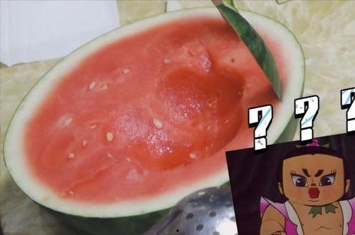 vlog吃瓜教程,轻松上手，成为吃瓜达人