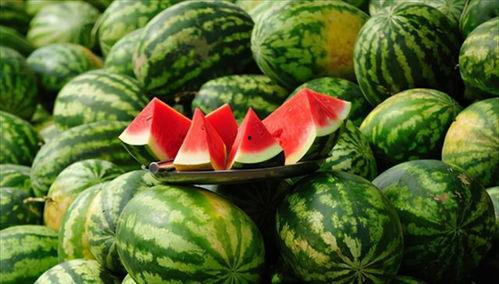 这瓜吃的就是很甜,尽在这瓜中