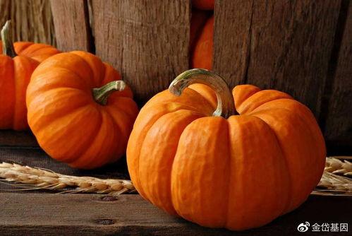 今日立秋宜吃瓜,探寻今日立秋的美食习俗