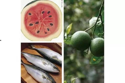 今日立秋宜吃瓜,探寻今日立秋的美食习俗