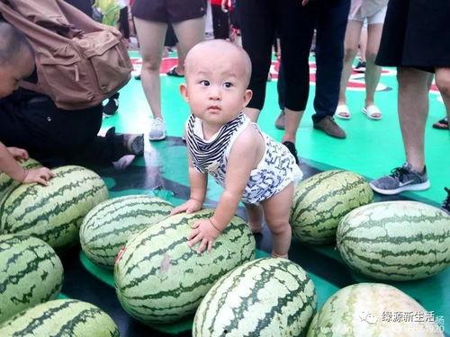 吃瓜图片大全大图,趣味横生的美食瞬间