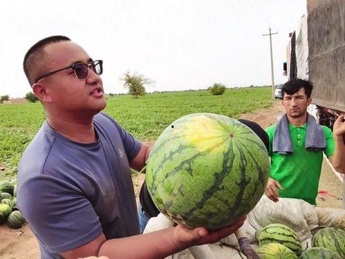 天网吃瓜,揭秘网络舆论背后的真相与影响