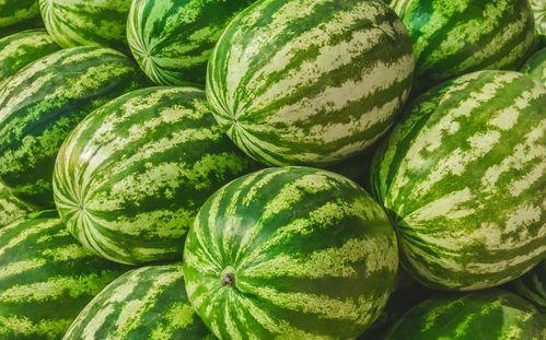 温岭土话里吃瓜,方言中的趣味生活