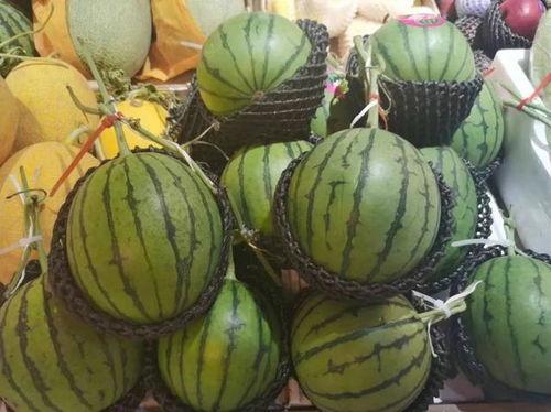 揉碎吃的瓜,探索揉碎食用的独特美味体验