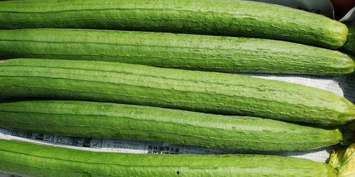 工作不如吃瓜,揭秘办公室里的“闲聊”文化