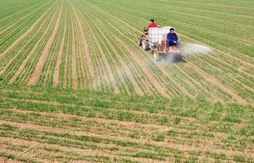 农民棉花地吃瓜,农民棉花地吃瓜趣事