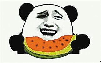 吃瓜群众有瓜子,瓜田里的欢乐时光