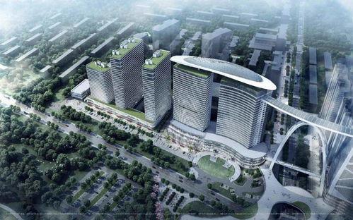 南京世茂滨江吃瓜视频,揭秘现场实况与网友热议