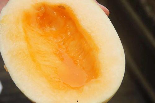 潮州趣味吃瓜,一场舌尖上的民俗盛宴