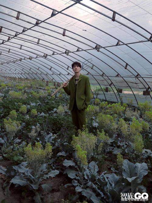 吃瓜大马庄,一场乡村盛宴的狂欢之旅