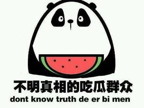 秋日吃瓜小说,一场穿越时空的甜蜜邂逅