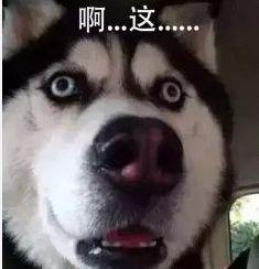 恶恶吃瓜,揭秘娱乐圈背后的秘密与真相