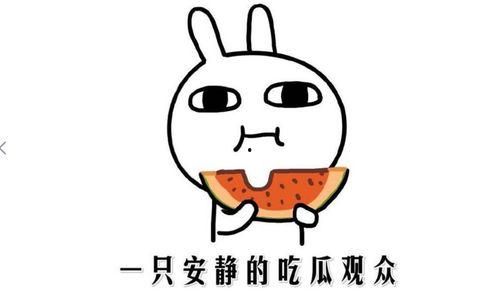 每天抖音吃瓜,揭秘娱乐圈幕后故事