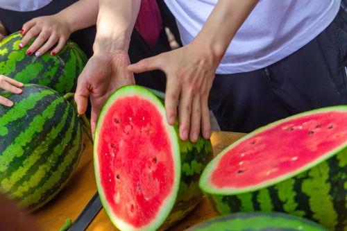 高校吃瓜,揭秘校园吃瓜背后的故事