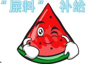 大型吃瓜平台,热门事件背后的真相与笑料