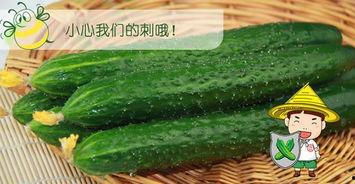 宁夏吃瓜配什么吃,搭配美食，尽享夏日清凉时光