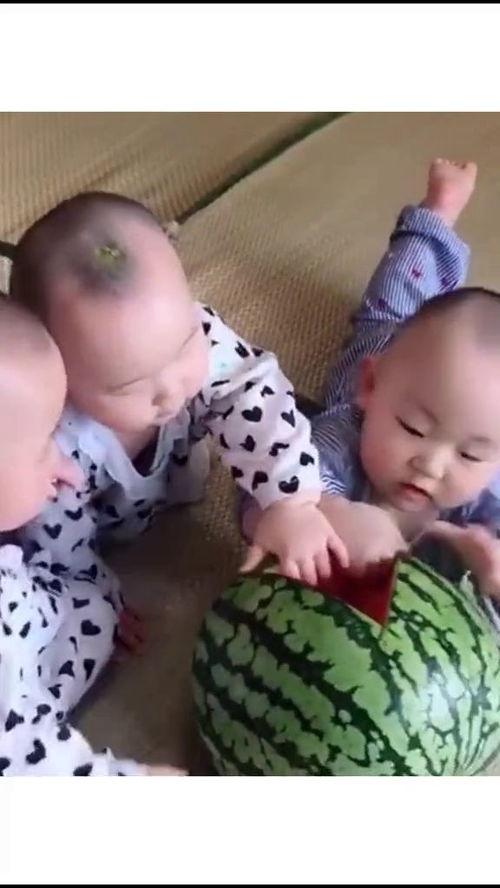 三兄弟吃瓜段子,一场笑料百出的夏日盛宴