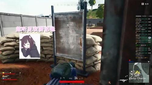 魔术吃瓜,揭秘神奇表演背后的秘密与技巧