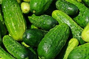 梦见吃瓜是生的,生瓜之梦的寓意与启示