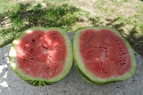 梦见吃瓜是生的,生瓜之梦的寓意与启示