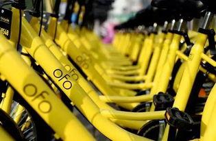 吃瓜群众ofo,ofo共享单车，辉煌与困境并存