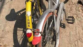 吃瓜群众ofo,ofo共享单车，辉煌与困境并存