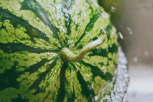 有的人在吃瓜,揭秘网络吃瓜文化的魅力与争议