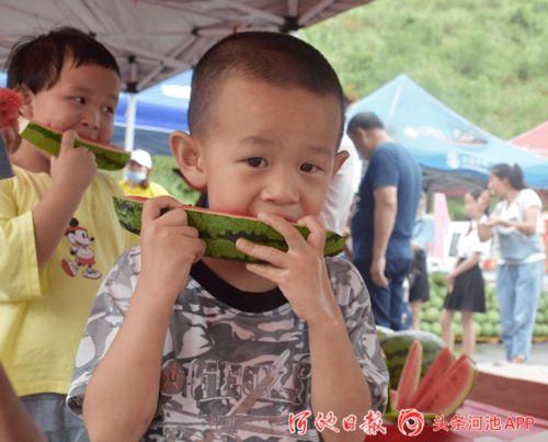 上朝吃瓜动画全集,宫廷秘闻动画全集大揭秘