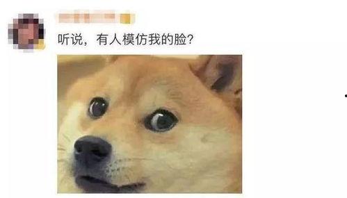 吃瓜狗头坏笑,揭秘娱乐圈背后的秘密