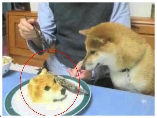 吃瓜狗头坏笑,揭秘娱乐圈背后的秘密