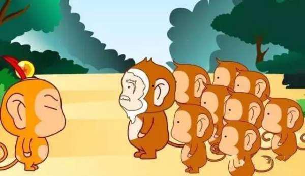 苏木吃瓜的故事