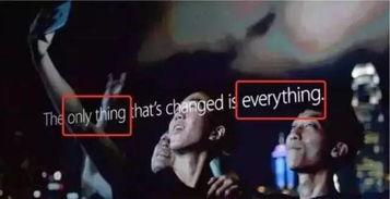 新手期吃瓜群众,轻松入门，畅游娱乐圈