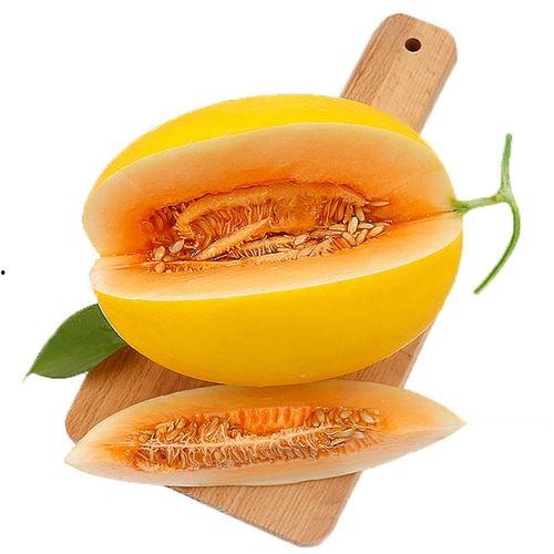 小蜜瓜可以直接吃吗,可直接食用的天然美味