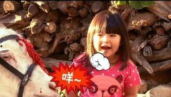 恬恬吃瓜,揭秘娱乐圈那些不为人知的幕后故事