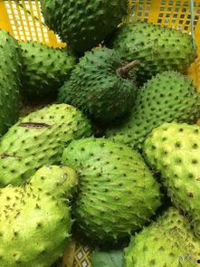 北美吃瓜gzh,北美娱乐圈最新瓜料大揭秘！