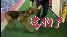 德基吃瓜,揭秘娱乐圈背后的那些事儿