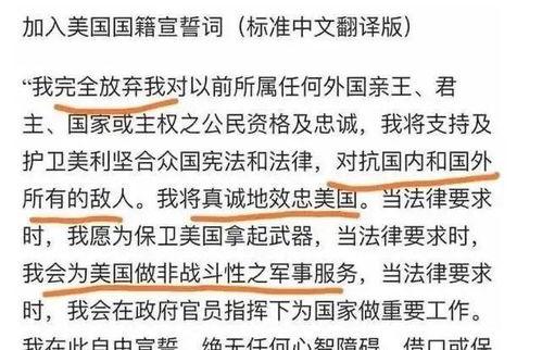 谎话精吃瓜,真相背后的荒诞故事