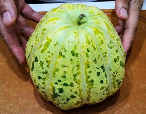 面瓜可以怎么吃,创意烹饪方法大盘点