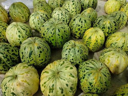 面瓜可以怎么吃,创意烹饪方法大盘点