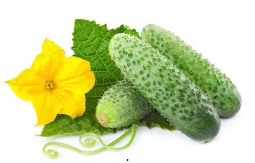 苏南青吃瓜系统,揭秘网络热点的幕后故事