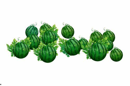 阿渡吃瓜,揭秘娱乐圈幕后故事