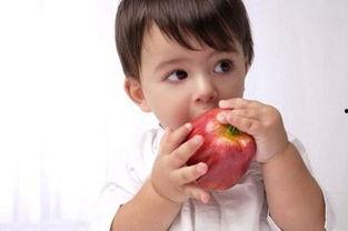 早上吃瓜好吗,健康又美味