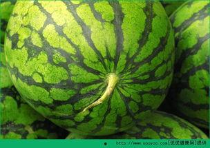 孕期可以吃烧瓜吗,烧瓜在孕期的适宜食用与注意事项