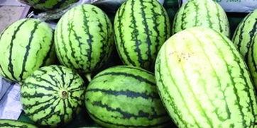 怎么形容别人吃瓜吃的快,揭秘那些吃瓜如风的高手