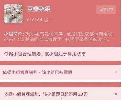 豆瓣真的吃瓜圣地,揭秘网络吃瓜群众的聚集地