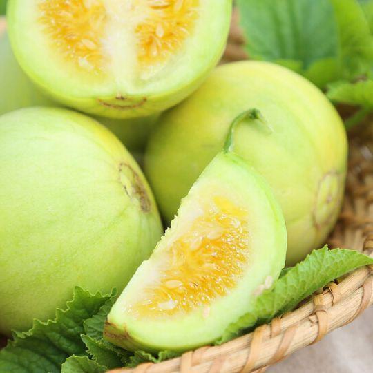 未瓜怎么吃,解锁夏日清新美味