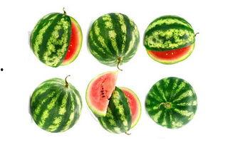 生理极限吃瓜,揭秘吃瓜的极致体验