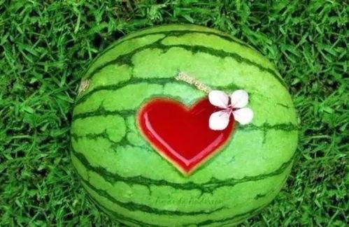 吃瓜只吃西瓜的吃瓜者什么意思,揭秘“吃瓜只吃西瓜”的吃瓜者心态