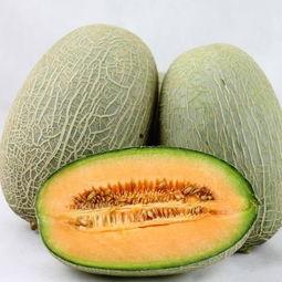经常吃哈密瓜好不好,常食益处多，健康生活新选择